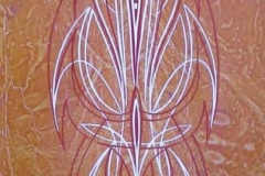 pinstriping.13